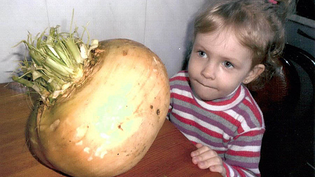 Народные приметы на 9 апреля 2022 года: что нельзя делать в этот день