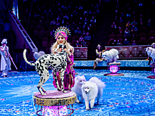 Новогоднее шоу Гии Эрадзе "Песчаная сказка" в Кемерове