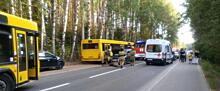 Два человека пострадали в ДТП с лосем в Ижевске