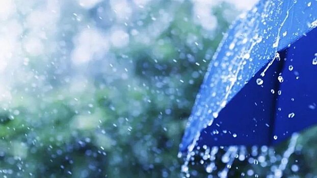 Среда в Кировской области пройдёт под аккомпанемент дождя