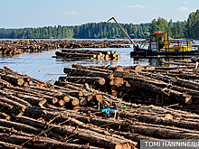 Без русского леса Финляндия лишается домов и заводов