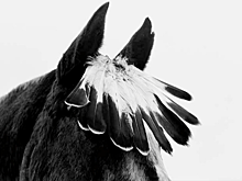 ГАЛЕРЕЯ КЛАССИЧЕСКОЙ ФОТОГРАФИИ ВОЗОБНОВЛЯЕТ ПРИЁМ ПОСЕТИТЕЛЕЙ!