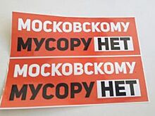 В Ярославле организовали митинг против ввоза мусора