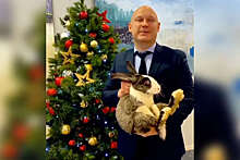 Депутат из Волгограда записал новогоднее поздравление, держа кролика за шкирку