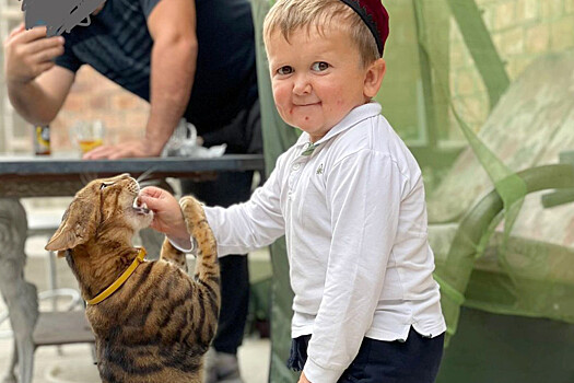 Блогер Хасбик подписал контракт с UFC