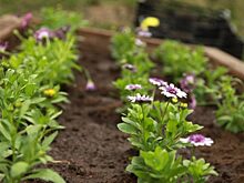 Итоги общегородского субботника подвели в районе