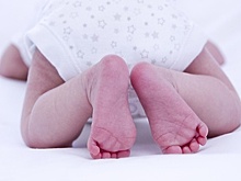 Новое диагностическое оборудование появилось в Чеховском роддоме