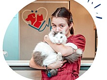 Ветеринары спасли отравившегося крысиным ядом кота в Нижнем Новгороде