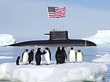 Пингвин в Белом доме: как абсурдная фотография подорвала стратегические дискуссии США о Гренландии