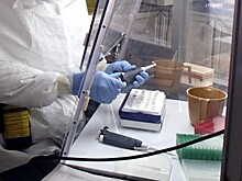 Названа причина быстрого распространения смертельных коронавирусов