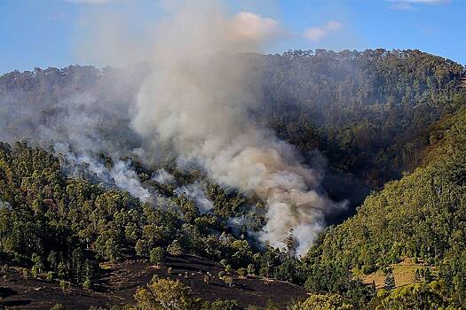 Показана глобальная угроза от повторения лесных пожаров в Австралии