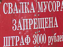 Дачники в поселке Лесной Пушкинского района решили многолетний спор из-за мусора