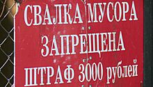 Дачники в поселке Лесной Пушкинского района решили многолетний спор из-за мусора