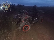 Два трупа нашли ночью в поле в Татарстане