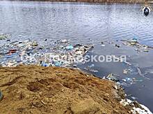 Экологии Подмосковья нанесли ущерб на десятки миллионов рублей
