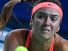 Украинка Свитолина вышла в четвертый круг Australian Open