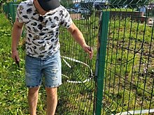 Борьба с вандалами в Ижевске и победа Северной Кореи над коронавирусом: новости к этому часу.