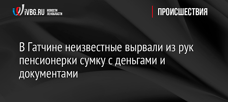 В Гатчине неизвестные вырвали из рук пенсионерки сумку с деньгами и документами