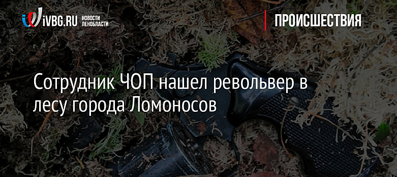 Сотрудник ЧОП нашел револьвер в лесу города Ломоносов