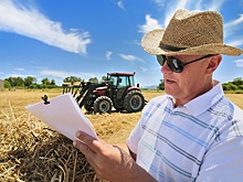 На Кубани предложили улучшить механизм субсидирования агрострахования