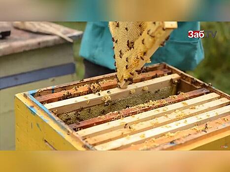 Политик из Канады проглотил пчелу во время выступления