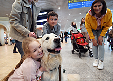 Москвичам дадут обнять собак перед полетом