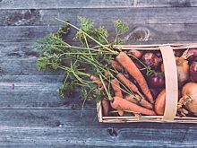 Фермерские продукты в блюдах Петербургского Ресторанного Фестиваля