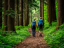 В Новосибирской области нашли более 8,5 тысяч гектаров земли для туризма