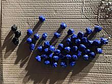 В Самарской области задержали неудачливого "закладчика"