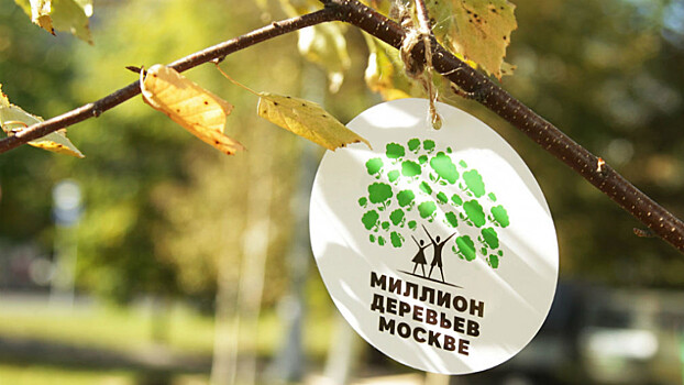 Столицу озеленяют по программе «Миллион деревьев»