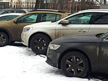 Самые популярные автомобили названы в Приморье