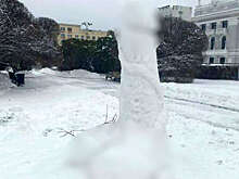 Власти Екатеринбурга предложили привлекать силовиков против снежных фаллосов