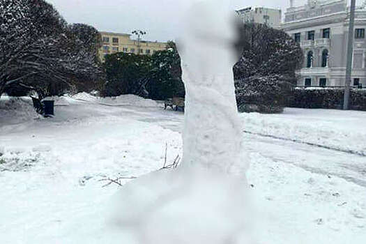 Власти Екатеринбурга предложили привлекать силовиков против снежных фаллосов
