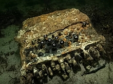 На дне Балтийского моря нашли "Энигму"