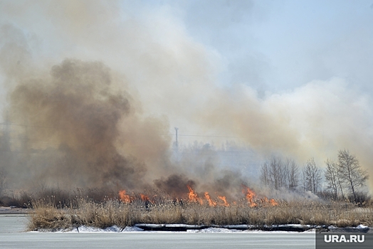 В Челябинской области резко возрастет опасность пожаров в лесах и на полях