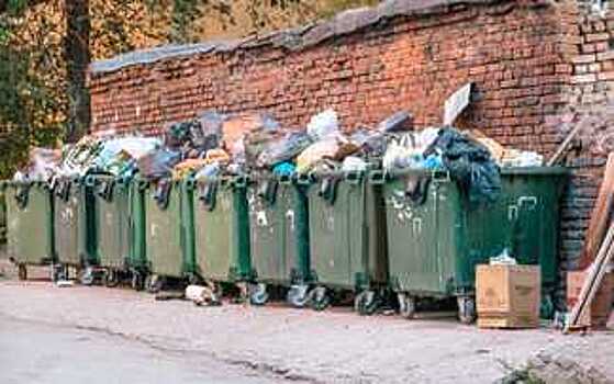 Правительство РФ рассмотрит предложение об отмене двойной платы за вывоз и утилизацию ТКО