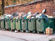 Правительство РФ рассмотрит предложение об отмене двойной платы за вывоз и утилизацию ТКО