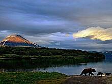 Россиянка описала поездку на Камчатку словами «рыбалка и медведи включены в программу»