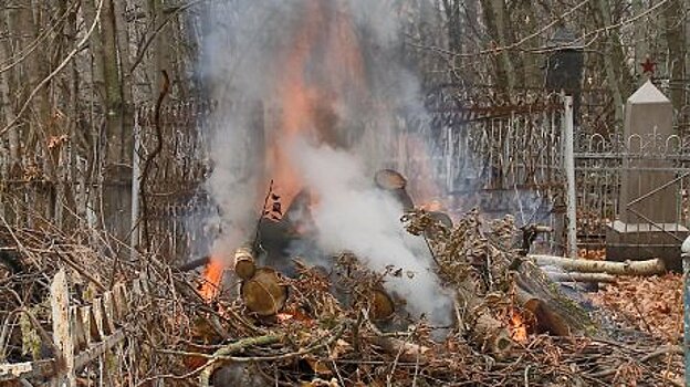 На Мироносицком кладбище начали сжигать спиленные деревья