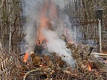 На Мироносицком кладбище начали сжигать спиленные деревья