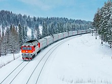 «Дочка» РЖД объяснила, по какой причине проводница высадила пассажиров с детьми ночью в лесу под Пермью