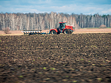 Российские аграрии собрали 140 миллионов тонн зерна по итогам 2025 года