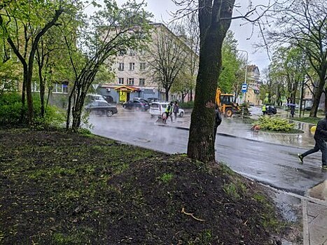 «Дикий диссонанс»: Дятлова поручила отремонтировать улицы, примыкающие к Красной, асфальт укладывали в дождь