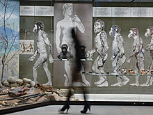 Дарвина захотели проверить на расизм