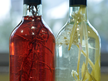 Столовый уксус оказался опасным для здоровья