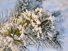 В Свердловской области ввели особый режим из-за морозов