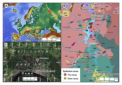 Пыльца с болот Прикамья помогла ученым реконструировать изменение климата в центральной части Урала