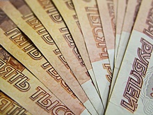 Нагин стал самым богатым главой района в Нижнем Новгороде