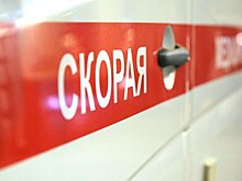 Пять человек погибли при столкновении грузовика и автобуса в Красноярском крае