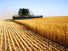 Объем внесения удобрений увеличился на 20 процентов